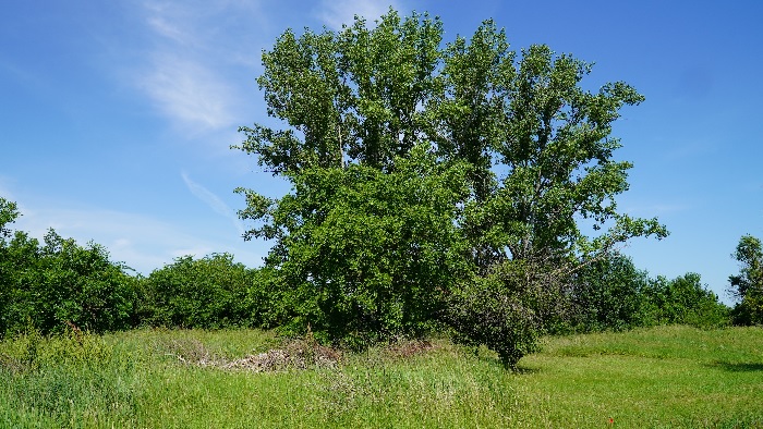 Megelőző állapot 2. kép