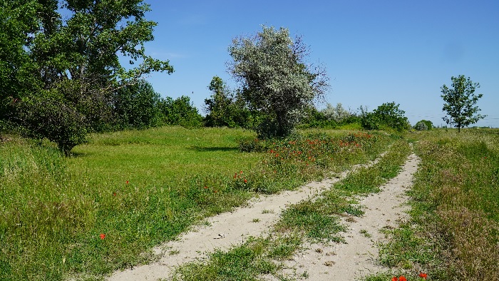 Megelőző állapot 3. kép